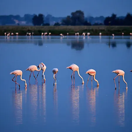 公寓 Nettuno - Relax Prive - 3 Bedrooms - 2 Baths - Ac - Parking - Wifi 切尔维亚