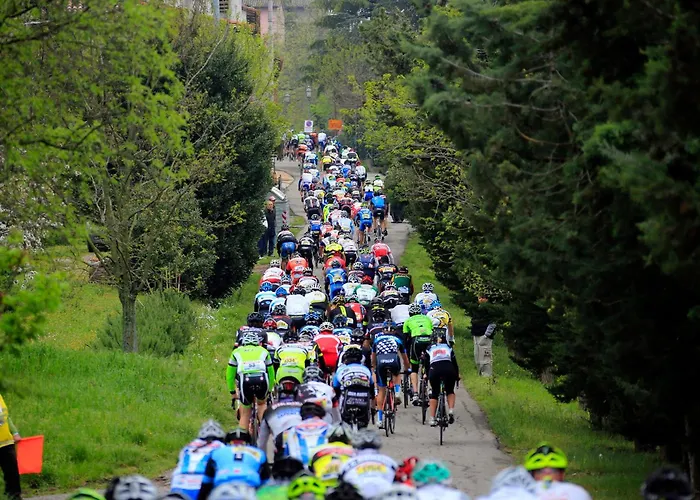 公寓 Nettuno - Relax Prive - 3 Bedrooms - 2 Baths - Ac - Parking - Wifi *