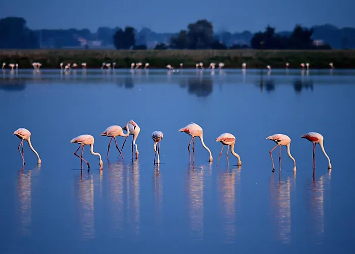 Apartament Nettuno - Relax Prive - 3 Bedrooms - 2 Baths - Ac - Parking - Wifi Cervia